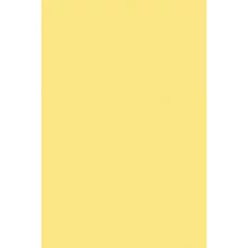 Цв. тонированная бумага А4, 10л. ПЭТ желтый С3036-02