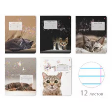 ТЕТРАДЬ 12Л, ЛИН. "УДИВИТЕЛЬНЫЕ КОТЯТА" 5 ВИДОВ ТЛ1370