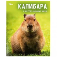 Энциклопедия Умка 197*255, "Капибара и другие забавные звери", 48стр. 375025