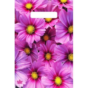 Пакет вырубной Яркие хризантемы (30*20 см) н00178383