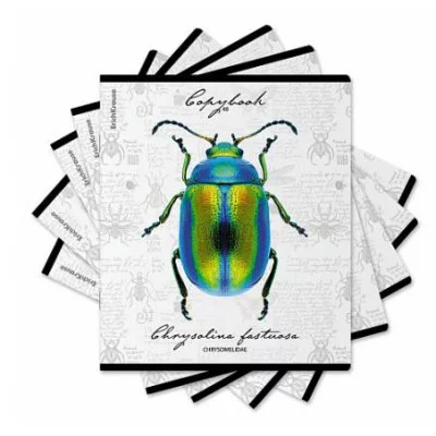 Тетрадь общая ученическая ErichKrause Жуки 48 листов клетка мат. лам.+выборочный +тиснение фольгой+конгрев доп.лист 60612