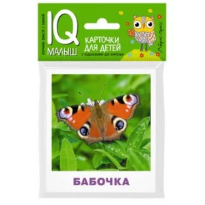 Набор карточек Умный малыш. Насекомые АЙРИС-пресс 511917