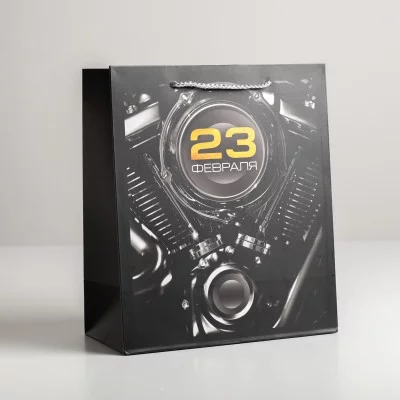 Пакет ламинированный вертикальный «23 февраля», ML 23 × 27 11,5 см 5187544