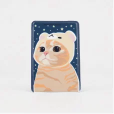 Обложка для проездного, одинарная 6,5*0,3*9,5см, "Кот звездочёт" 9305175