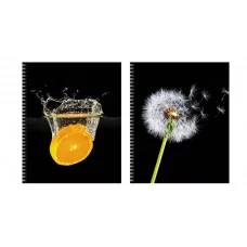 Тетрадь А5 96л "На контрасте" КанцЭксмо ТС968552