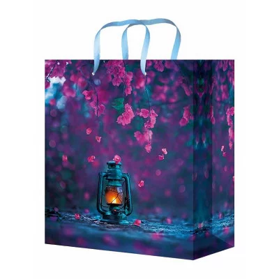 Optima Пакет подарочный с глянц.ламинацией 22x31x10 см (МL) Фонарь, 128 г ПКП-4263