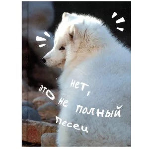 Книга для записей А6 80л "Песец" КанцЭксмо КЗ6804065