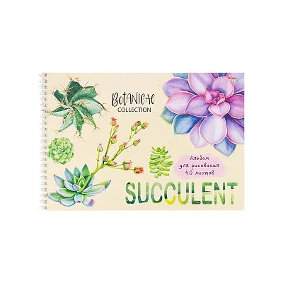 Альбом для рисования А4 40л СУККУЛЕНТЫ (40-5478) гребень офсет Аль4625