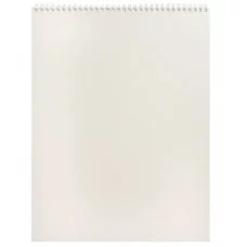 Скетчбук А3 100г ЖИЗНЬ ДИНОЗАВРОВ 30-9982 гребень жесткая подложка 30л