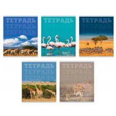 Тетрадь А5 80л "В мире животных" КанцЭксмо ТК808698