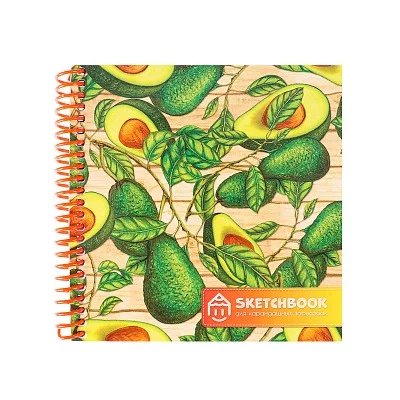 Скетчбуки А6+ для карандаш зарис Авокадо (спираль слева, гл лам,мяг.обл,жест подл,64л,60г) С64-5280