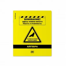 Тетрадь общая ученическая с пластиковой обложкой на скобе ErichKrause Be Informed, АЛГЕБРА, 48 листов, клетка 59482