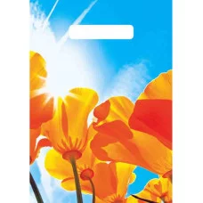 Пакет полиэтиленовый вырубной "Лазурь" (20х30 см) ВНР48710