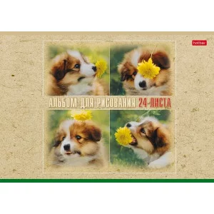 Альбом для рисования 24л скрепка мелов Ассорти ассорти HATBER 014111