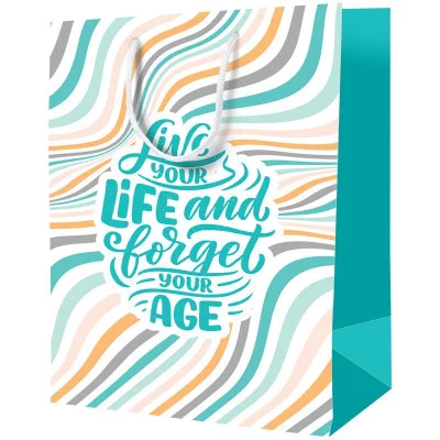 Пакет подарочный 26*32*12см ArtSpace "Forget age", ламинированный 322295