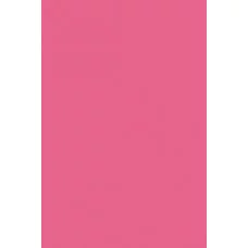 Цв. тонированная бумага А4, 10л. ПЭТ малиновый С3036-12