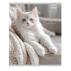 Тетрадь КЛЕТКА 96л. РАЗНЫЕ ДОМАШНИЕ КОТЫ (цвет.мелов.обл.) 96-4319