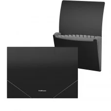 Папка на резинках 12 отделений А4 0,70мм "Matt Classic" черный ERICH KRAUSE 50416 317317