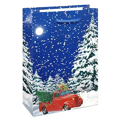 Optima Пакет подарочный с глянцевой ламинацией 14x20x6,5 см (MS) Заснеженная ночь, 128 г ПКП-5644