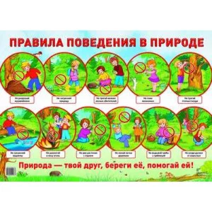 Демонстрационный плакат А2 Правила поведения в природе