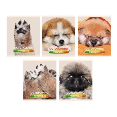 Тетрадь А5 48л "Осторожно, щеночки"  КанцЭксмо ТК488352
