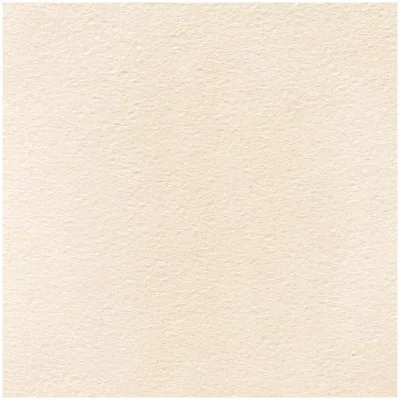 Бумага для акварели 1л А4 Лилия Холдинг 200г/м2 молочная крупное зерно 321072