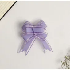 Бант-бабочка №3   7986217