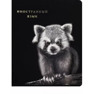 Тетрадь КЛЕТКА 48л. ИНОСТРАННЫЙ ЯЗЫК «BLACKSOFT» хол.ф,софт-тач,выб.л,тисн.ф TM Prof-Press 48-1733