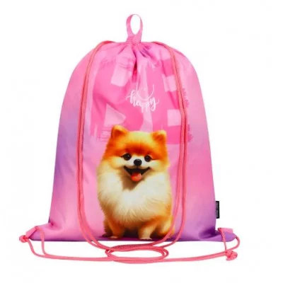 Сумка-мешок для сменной обуви, 2 отделения, двойной шнурок МИЛЫЙ ШПИЦ (МО-1616) 490х410 МО-1616