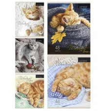 Тетрадь КЛЕТКА 48л. КОТЯТА И ПЛЕДЫ (48-1908) цвет. мелов. обл. 48-1908