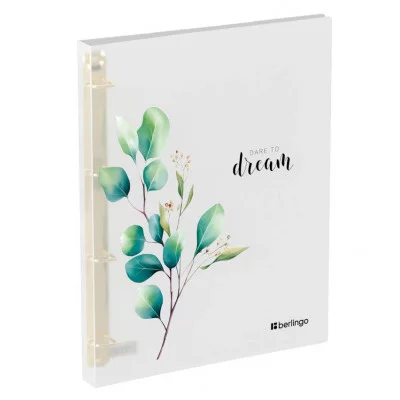 Папка на 4 кольцах Berlingo "Spring", 24мм, 600мкм, с рисунком, D-кольца 384078