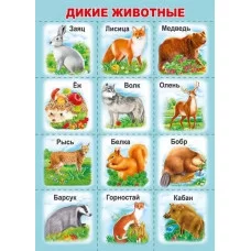 Мини-плакат "Дикие животные", изд.: Горчаков 460326240900871461