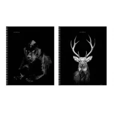 Тетрадь А5 96л "Прекрасные создания" КанцЭксмо ТСФ968547