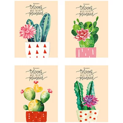 БЛОКНОТ А6 40л. на гребне ЦВЕТУЩИЕ КАКТУСЫ - 1 Б40-0254 ассорти, клетка