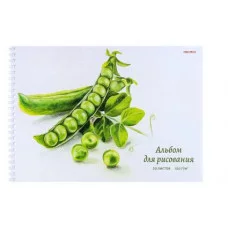 Альбом для рисования А4 20л. ИЗЯЩНЫЙ НАТЮРМОРТ (20-5106) на гребне, мелов. обл.офсет 20-5106