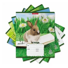 Тетрадь школьная ученическая ErichKrause Кролики 12 листов линейка 58246
