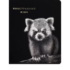 TM Prof-Press Тетрадь КЛЕТКА 48л. ИНОСТРАННЫЙ ЯЗЫК «BLACKSOFT» (48-1733) хол.ф,софт-тач,выб.л,тисн.ф ПП-00200018