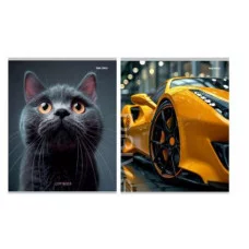 Тетрадь КЛЕТКА 96л. МИКС-9520 (96-9520) (цвет.мелов.обл.) 96-9520