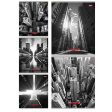 Тетрадь КЛЕТКА 48л. МЕГАПОЛИС В ЧЁРНО-БЕЛОМ (48-5748) цвет. мелов. обл. 48-5748