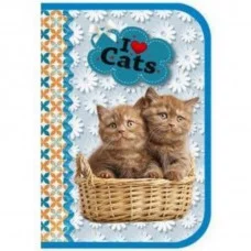 ПКК 07-5 Шоколадные котята-пенал л/т 1-отдел. с откидной планкой большой 190*130