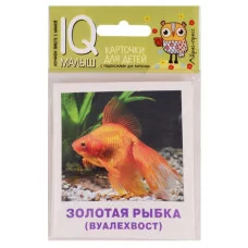 Умный малыш. Аквариумные рыбы. Набор карточек для детей., изд.: Айрис, авт.: Малунова М.В., серия.: Умный малыш ( IQ малыш ) 978-5-8112-6708-8