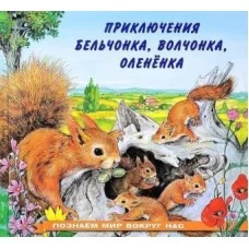 Приключения бельчонка, изд.: Фламинго, серия.: Серия "Познаем мир вокруг нас" 9785783328510