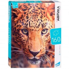 Пазл 160 Африка RI1602 933-236