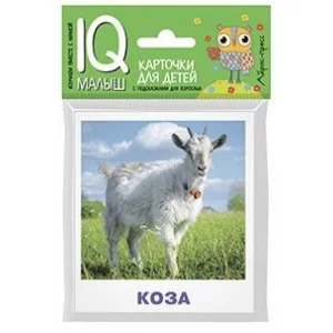 Набор карточек Ходюшина Н.П. Умный малыш. Домашние животные Айрис 978-5-8112-6503-9
