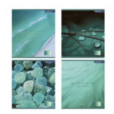 Тетрадь 48л., А5, клетка, Alingar "Mint color", скрепка, мелованный картон (стандарт), блок офсет AL10833