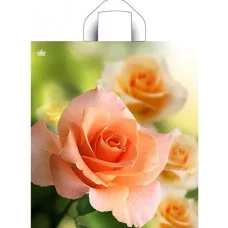 Пакет с петлевой ручкой ТИКО Утренняя роза 42*38 12087