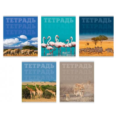 Тетрадь А5 80л "В мире животных" КанцЭксмо ТК808698