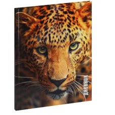 Дневник тв обл 5-11кл, глянц/лам, 48л, Calligrata Леопард 1319481 1319481