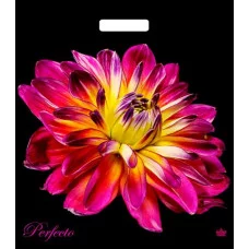 Пакет с прорубной ручкой ТИКО Перфекто Руж 42*48 1133