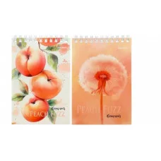 БЛОКНОТ А6 40л. на гребне ПЕРСИКОВЫЙ ПУХ (40-6975) ассорти, цвет.мелов.обл, офсет, клетка 40-6975